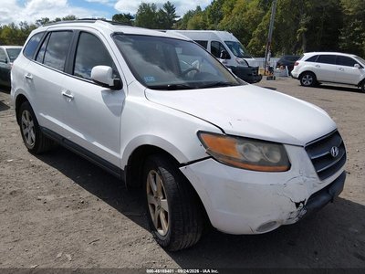 2009 Hyundai Santa Fe