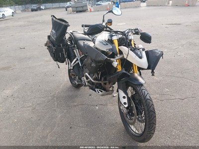 2023 Triumph Tiger