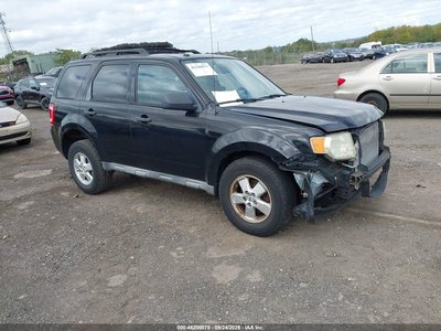 2010 Ford Escape