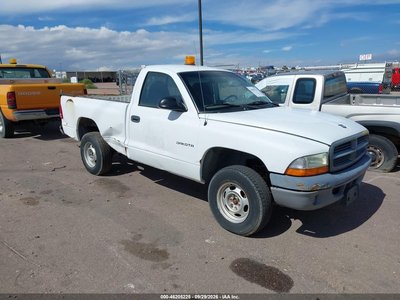 2001 Dodge Dakota