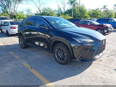 2023 Lexus NX 350