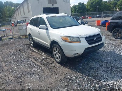 2009 Hyundai Santa Fe