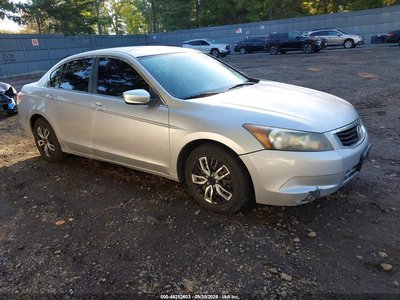 2010 Honda Accord