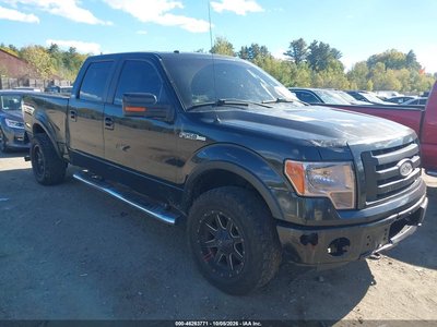 2010 Ford F-150