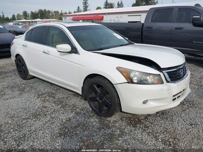 2010 Honda Accord