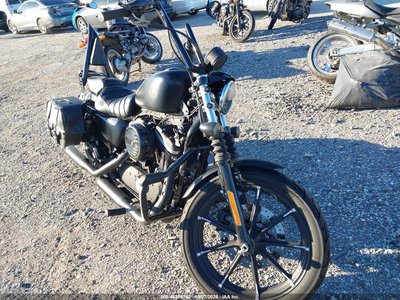 2019 Harley-Davidson Xl883