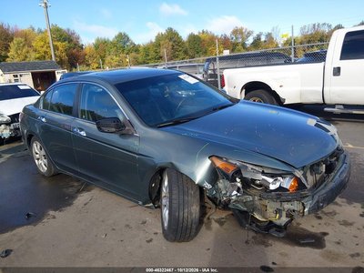 2010 Honda Accord