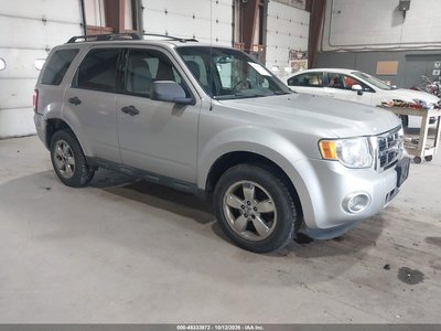 2010 Ford Escape