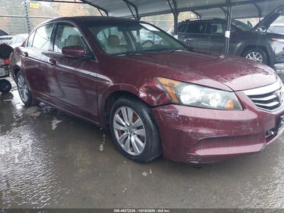 2011 Honda Accord